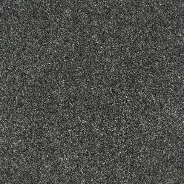 Platinum 76 Premium Carpet