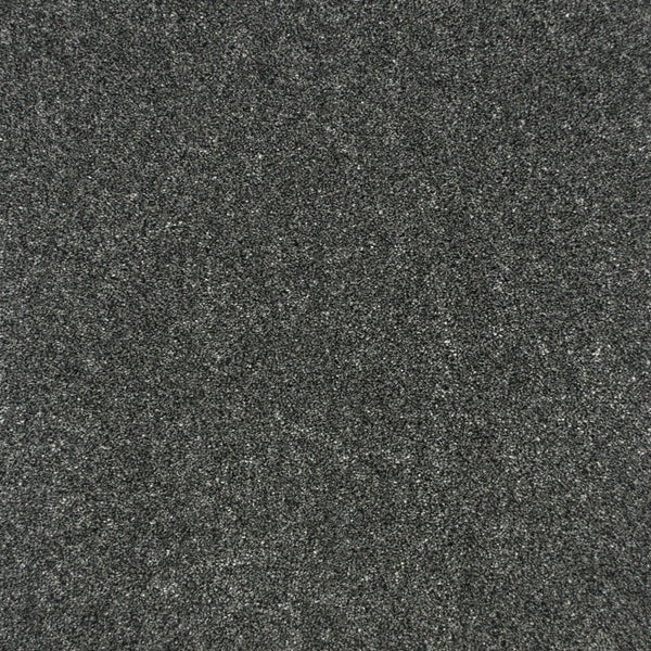 Platinum 76 Premium Carpet