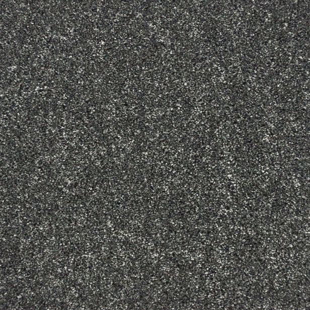 Platinum 76 Premium Carpet