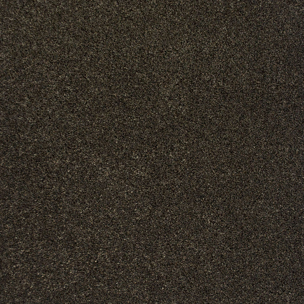 Bark 79 Premium Carpet 2.1m x 5m Remnant