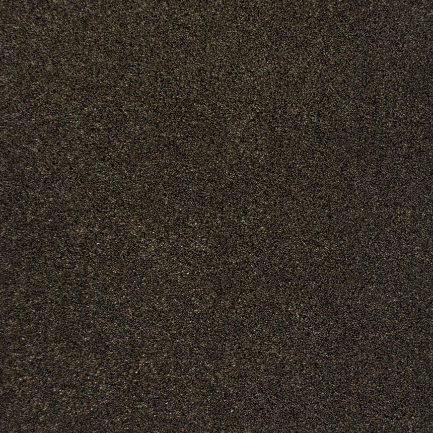 Bark 79 Premium Carpet 2.1m x 5m Remnant