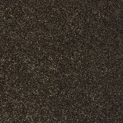 Bark 79 Premium Carpet 4.3m x 5m Remnant