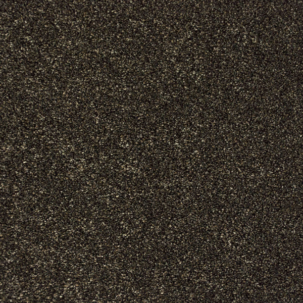 Bark 79 Premium Carpet 4.3m x 5m Remnant