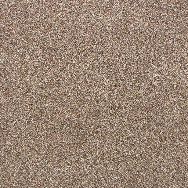 Latte 90 Premium Carpet