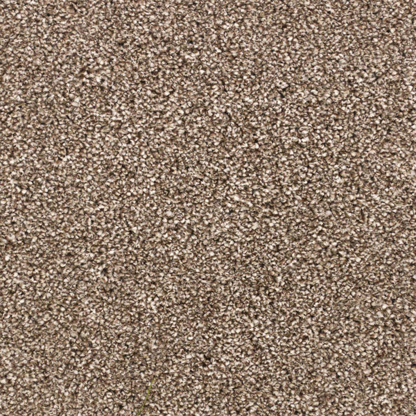 Latte 90 Premium Carpet