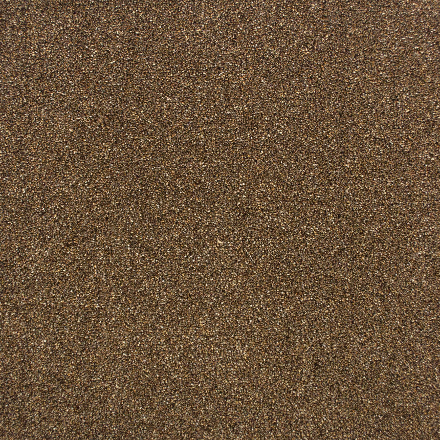 Beaver 95 Premium Carpet Buy Premium Carpets Online OnlineCarpets
