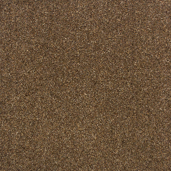 Beaver 95 Premium Carpet Buy Premium Carpets Online OnlineCarpets
