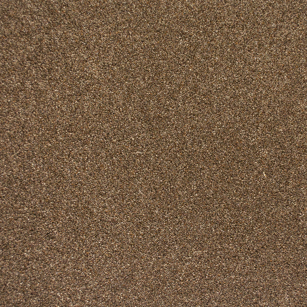 Chestnut 96 Premium Carpet
