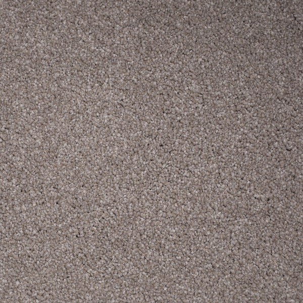 Satinwood Primo Delight Carpet Buy Cormar Primo Delight Carpet Online