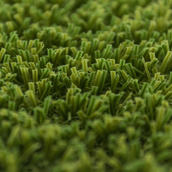 Moorpark Artificial Grass