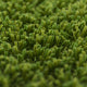 Moorpark Artificial Grass