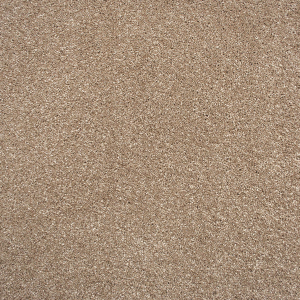 Soft Noble Actionback Carpet Buy Soft Noble Carpets Online