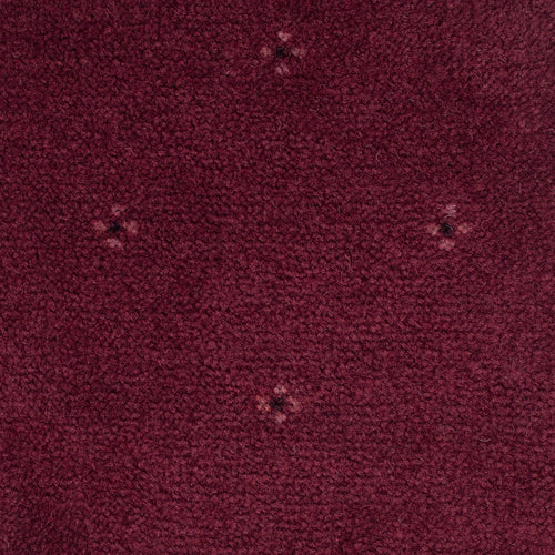 Red Currant 18 Solo Carpet
