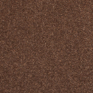 Walnut 91 Revolution Carpet