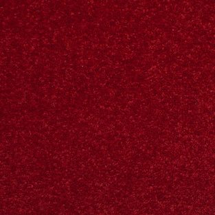 Wine Red 20 Revolution Carpet