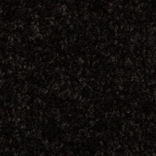Black 79 Revolution Carpet