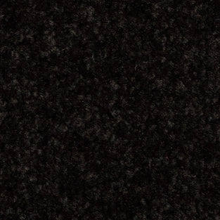 Black 79 Revolution Carpet