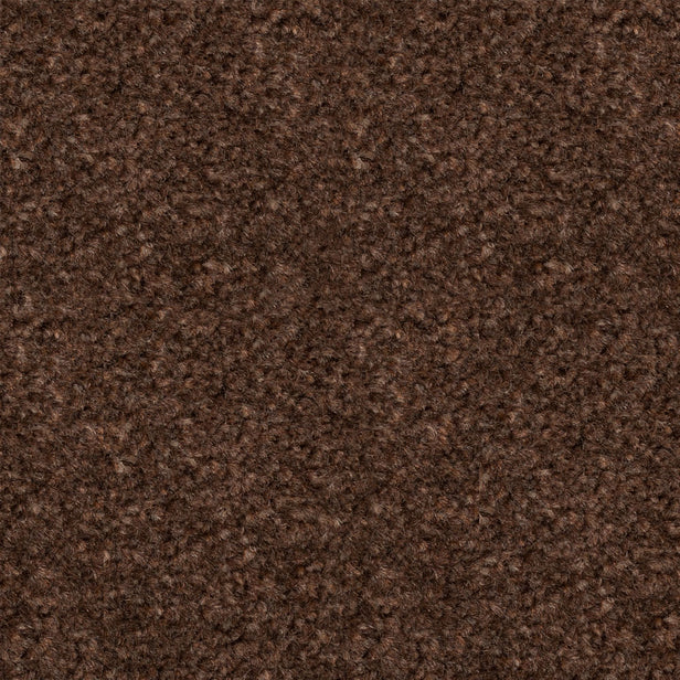 Chocolate Brown 94 Revolution Carpet