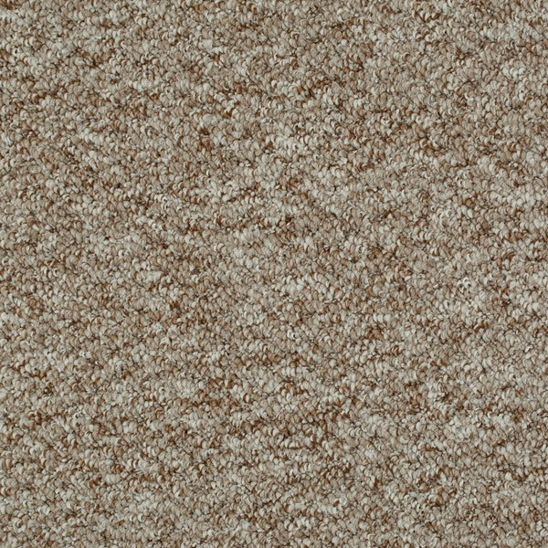 Sweet Home Felt Back Carpet Buy California Felt Back Berber Carpet Online OnlineCarpets.co