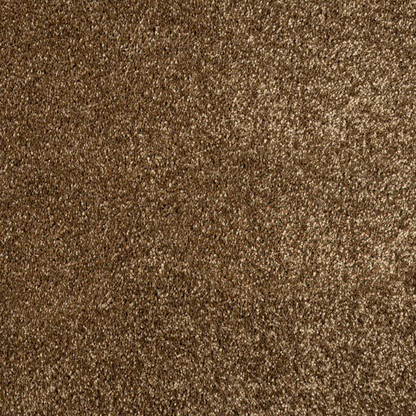Rich Caramel Lasting Romance Love Story Carpet 4.3m x 5m Remnant