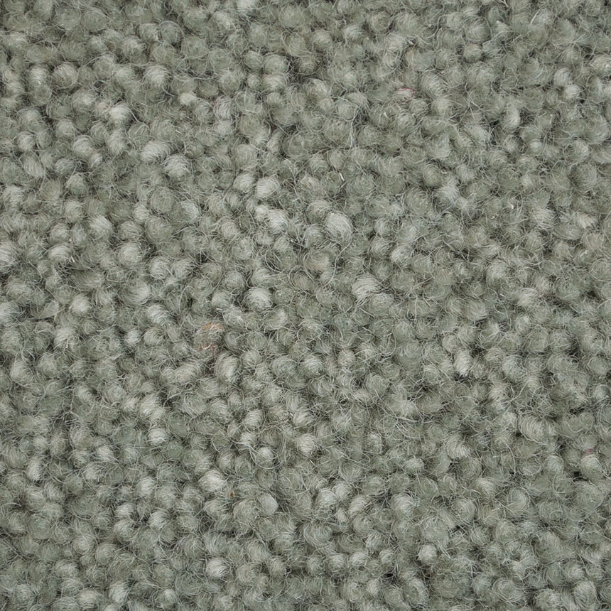 Rosemary 50oz Home Counties Plain Carpet Online Carpets