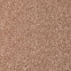 Brioche Stainfree Royale Carpet
