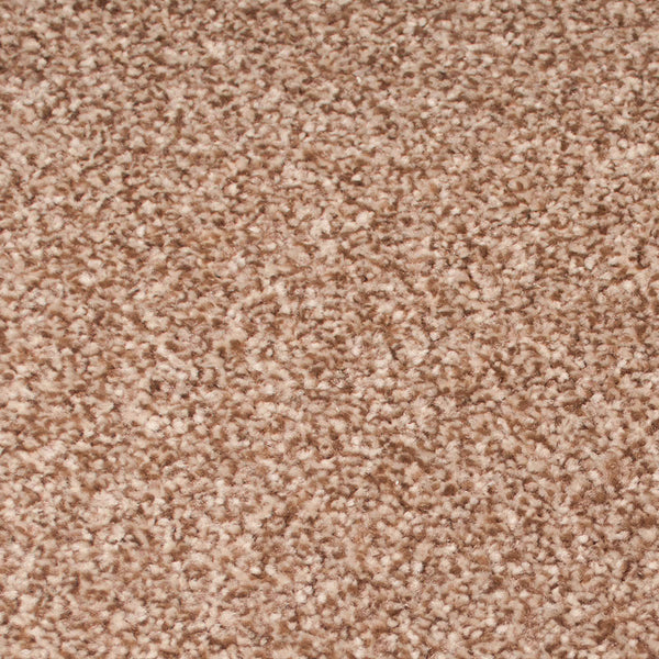 Brioche Stainfree Royale Carpet