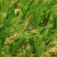Runner 20mm Artificial Grass