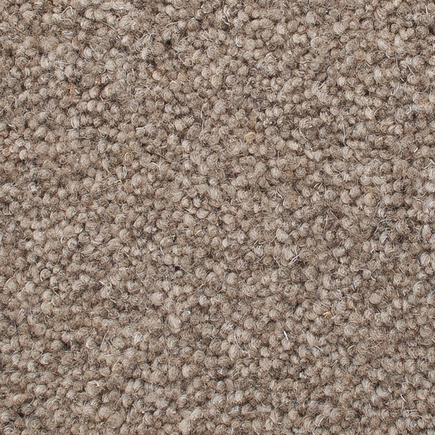 Rutland Elm 50oz Home Counties Heathers Carpet by Cormar