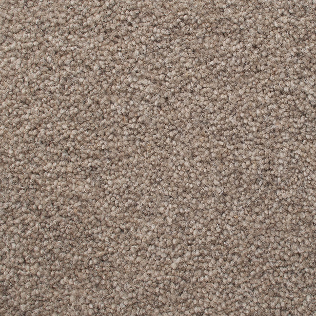 Rutland Elm 50oz Home Counties Heathers Carpet by Cormar