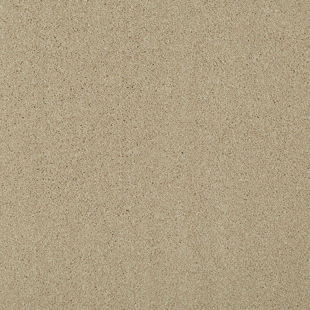 Sable 171 Ultimate Twist Intenza Carpet