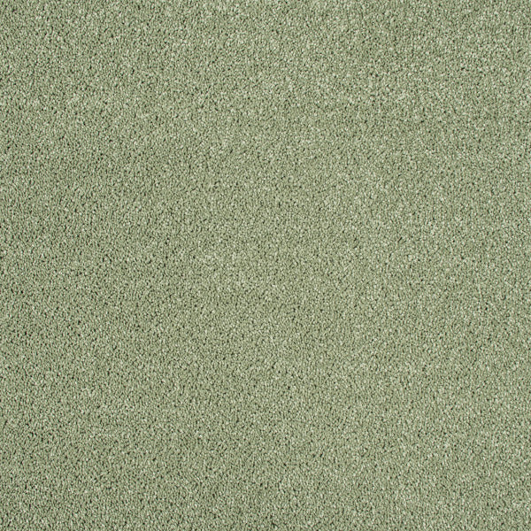 Sage Green 440 Carousel Twist Carpet