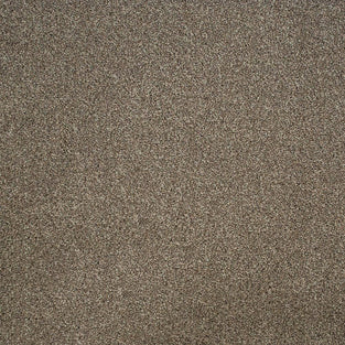 Chestnut 44 Stainaway Harvest Heathers Deluxe Carpet