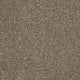 Chestnut 44 Stainaway Harvest Heathers Deluxe Carpet