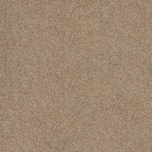 Sierra Snow 665 Saxon King Saxony Carpet