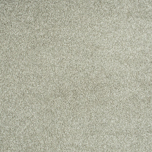 Salix 28 Serenity iSense Carpet