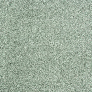 Salix 20 Splendour iSense Carpet