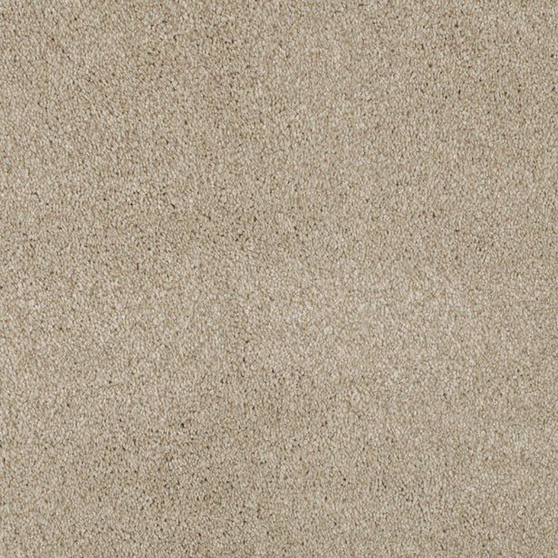 Sandlewood 72 Serano Elite Intenza Carpet