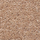 Sandpiper 50oz Home Counties Heathers Carpet
