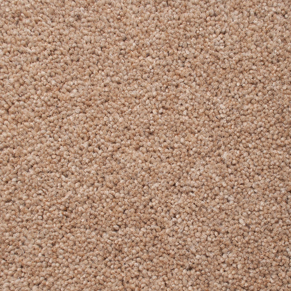 Sandpiper 50oz Home Counties Heathers Carpet