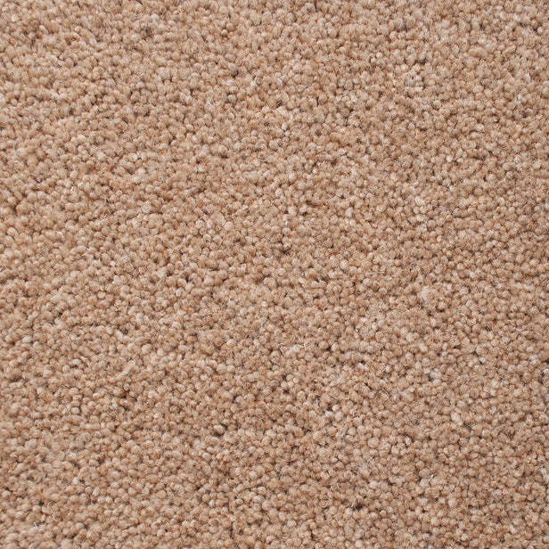 Sandpiper 50oz Home Counties Heathers Carpet by Cormar