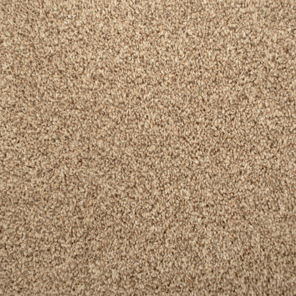 Sandstone 715 Noble Heathers Saxony Carpet Buy Heathered Carpets