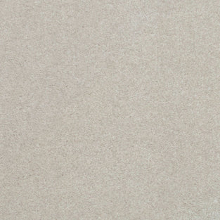 Sandstone 37 Hermes iSense Carpet