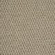 Sandy Beige Florida Loop Carpet