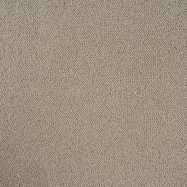 Sandy Beige Illinois Loop Carpet