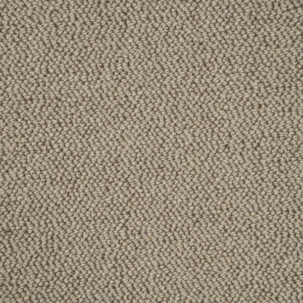 Sandy Beige Illinois Loop Carpet