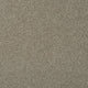 Sandy Beige