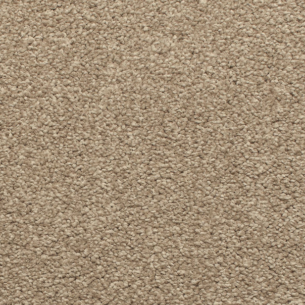 Granite Satisfaction Regency Carpet