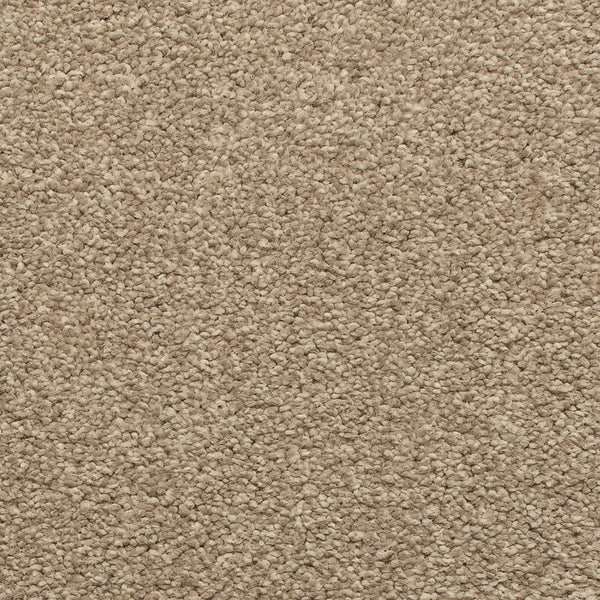Granite Satisfaction Regency Carpet