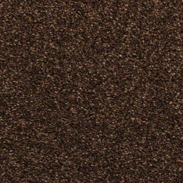Magnetite Satisfaction Regency Carpet